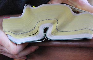 Yellow pages and its possible future?